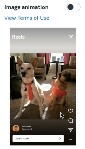 Image Animation